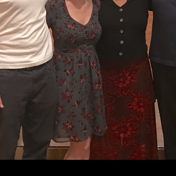 Madewell Dress **perfect for fall** - Picture 7 of 8